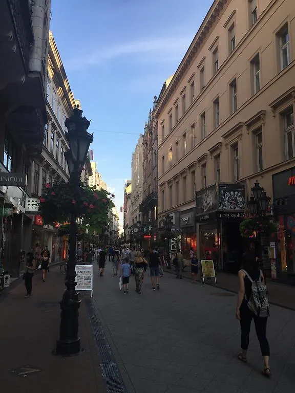 Budapest Luxury Apartments 0*,